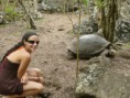 /album/fotogaleria/tortuga-gaby-jpg/